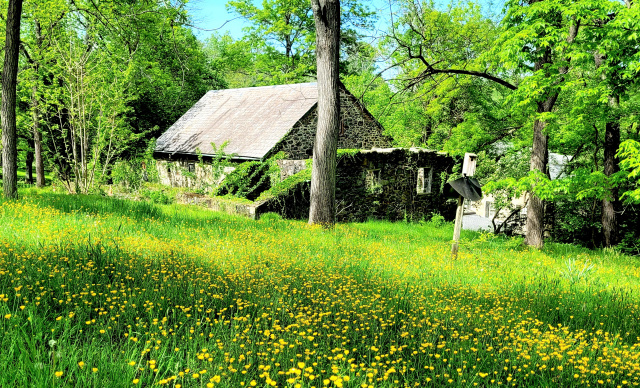 Nemours Estate & Hagley Museum